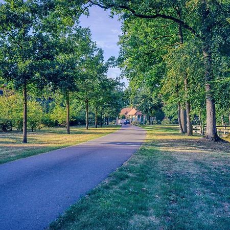 Pferdeparadies Untergruenhagen Bad Fallingbostel Exteriér fotografie