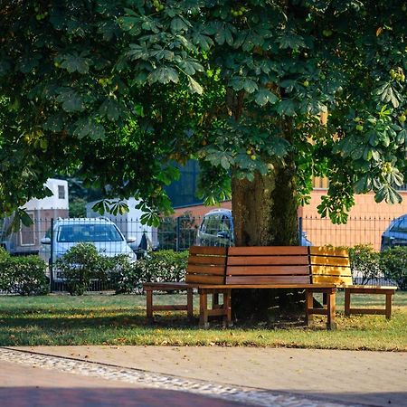 Pferdeparadies Untergruenhagen Bad Fallingbostel Exteriér fotografie