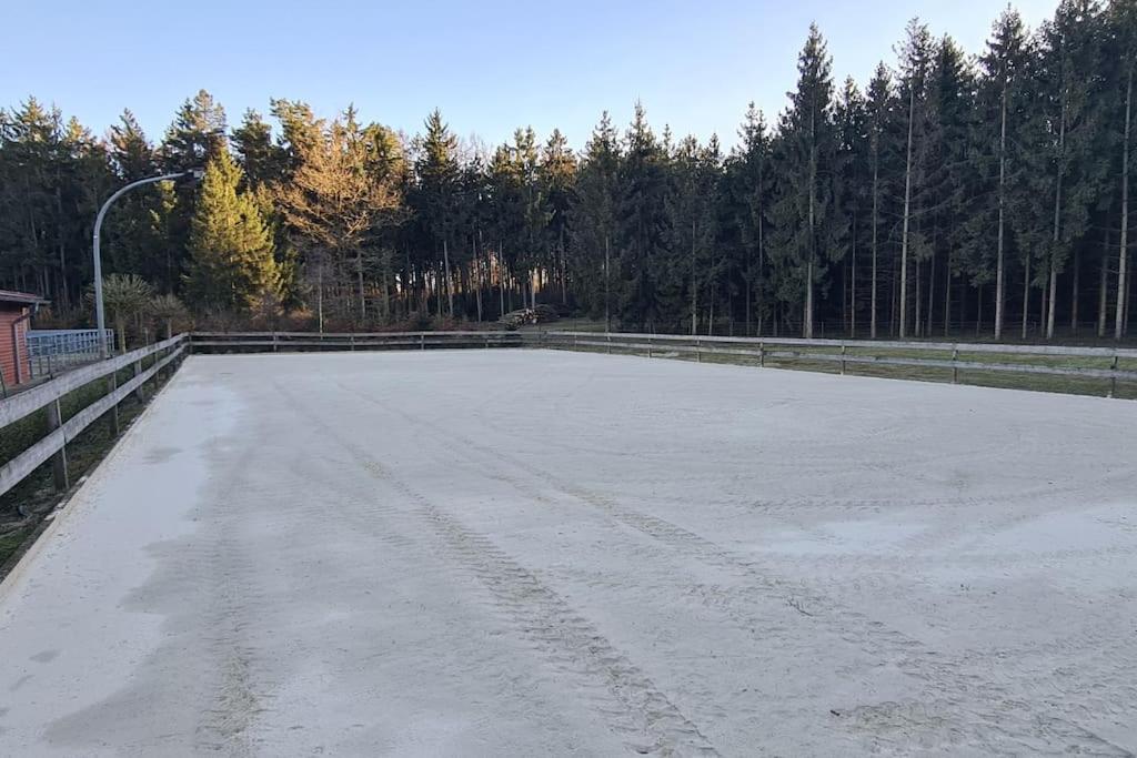 Pferdeparadies Untergruenhagen Bad Fallingbostel Exteriér fotografie