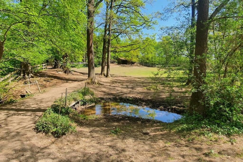Pferdeparadies Untergruenhagen Bad Fallingbostel Exteriér fotografie