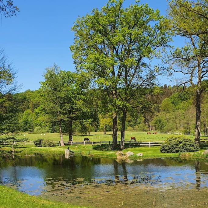 Pferdeparadies Untergruenhagen Bad Fallingbostel Exteriér fotografie