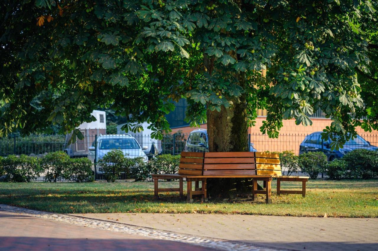 Pferdeparadies Untergruenhagen Bad Fallingbostel Exteriér fotografie