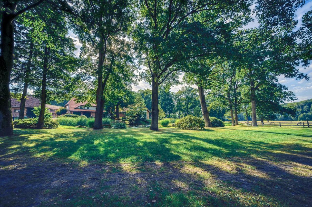 Pferdeparadies Untergruenhagen Bad Fallingbostel Exteriér fotografie